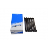 ����� ��� [10 ����] Chevrolet Aveo/Cruze/Lacetti/Lanos 1.6 14-32325-01